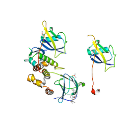 BU of 8bdn by Molmil