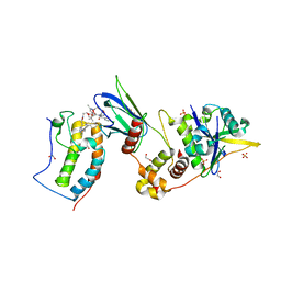 BU of 8bds by Molmil