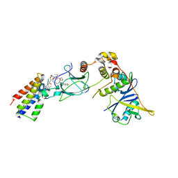 BU of 8bdt by Molmil