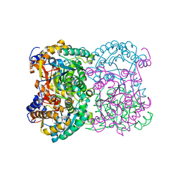 BU of 8bgn by Molmil