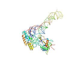 BU of 8bgu by Molmil