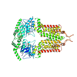 BU of 8bht by Molmil