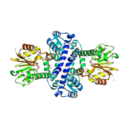 BU of 8bif by Molmil