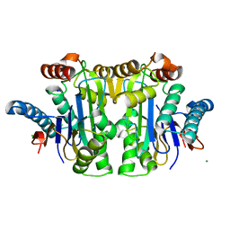 BU of 8bkf by Molmil