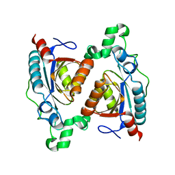 BU of 8blm by Molmil