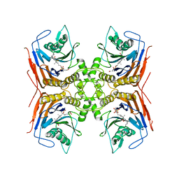 BU of 8bls by Molmil