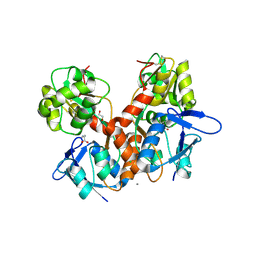 BU of 8bn5 by Molmil