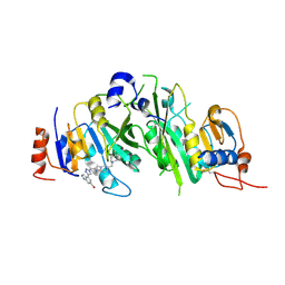 BU of 8bn8 by Molmil