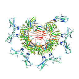 BU of 8bpe by Molmil