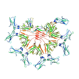 BU of 8bpf by Molmil