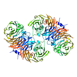 AU of 8bpn by Molmil