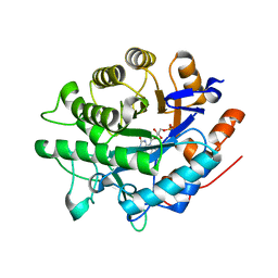 BU of 8bpp by Molmil