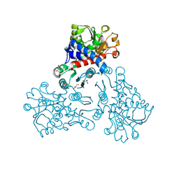 BU of 8bps by Molmil