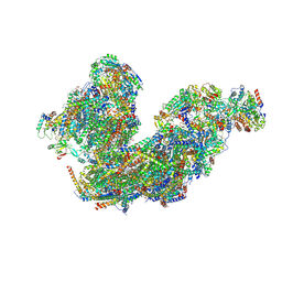 BU of 8bpx by Molmil