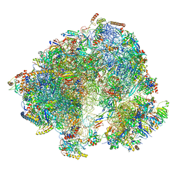 AU of 8br3 by Molmil