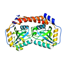 BU of 8bs4 by Molmil