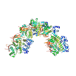 BU of 8bsc by Molmil