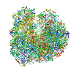 BU of 8bsi by Molmil