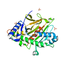 BU of 8bsv by Molmil