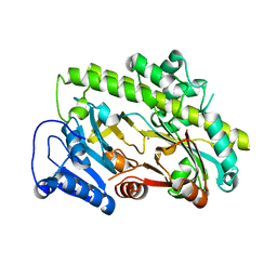 BU of 8btt by Molmil