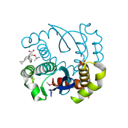 BU of 8bv2 by Molmil