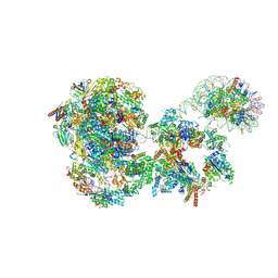 BU of 8bvw by Molmil