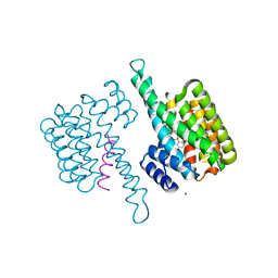 BU of 8bwh by Molmil