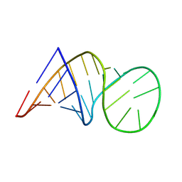 BU of 8bwt by Molmil