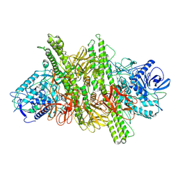 BU of 8byp by Molmil