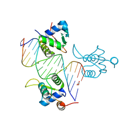 BU of 8bzm by Molmil