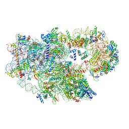 BU of 8c01 by Molmil