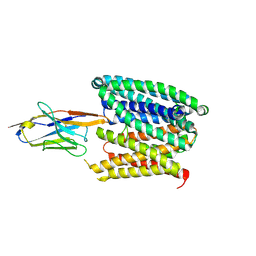 BU of 8c02 by Molmil