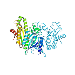 BU of 8c05 by Molmil