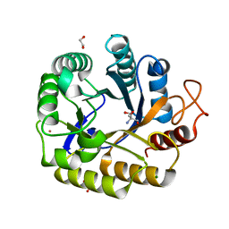 BU of 8c10 by Molmil