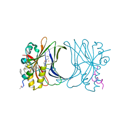 BU of 8c17 by Molmil