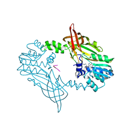 BU of 8c1j by Molmil