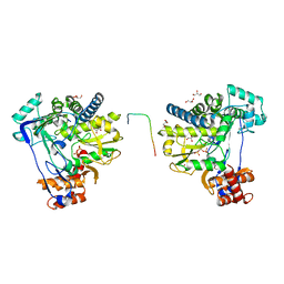 BU of 8c1n by Molmil