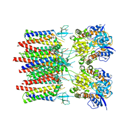 BU of 8c1q by Molmil