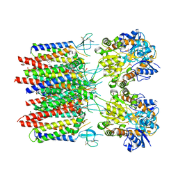 BU of 8c1r by Molmil