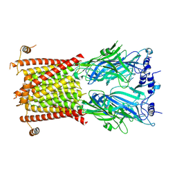 BU of 8c1w by Molmil