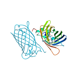 BU of 8c1x by Molmil