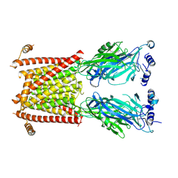 BU of 8c20 by Molmil