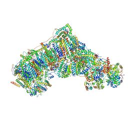 BU of 8c2s by Molmil