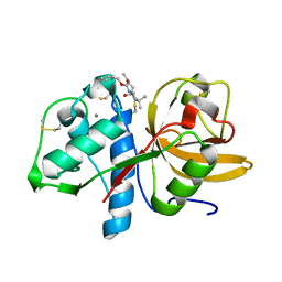 BU of 8c3d by Molmil