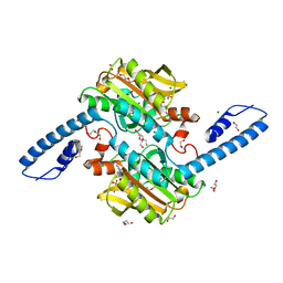 BU of 8c49 by Molmil