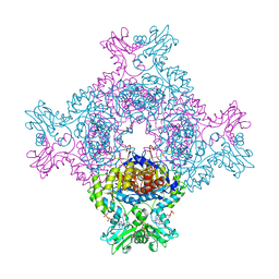 BU of 8c51 by Molmil