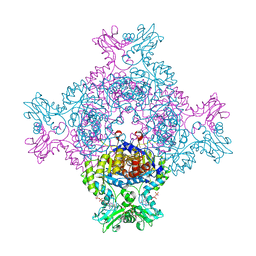 BU of 8c53 by Molmil