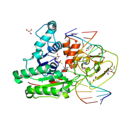 BU of 8c57 by Molmil