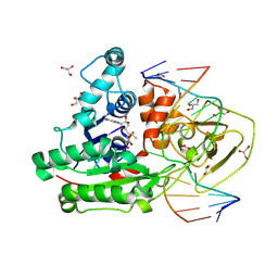 BU of 8c58 by Molmil