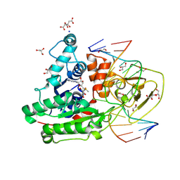 BU of 8c59 by Molmil